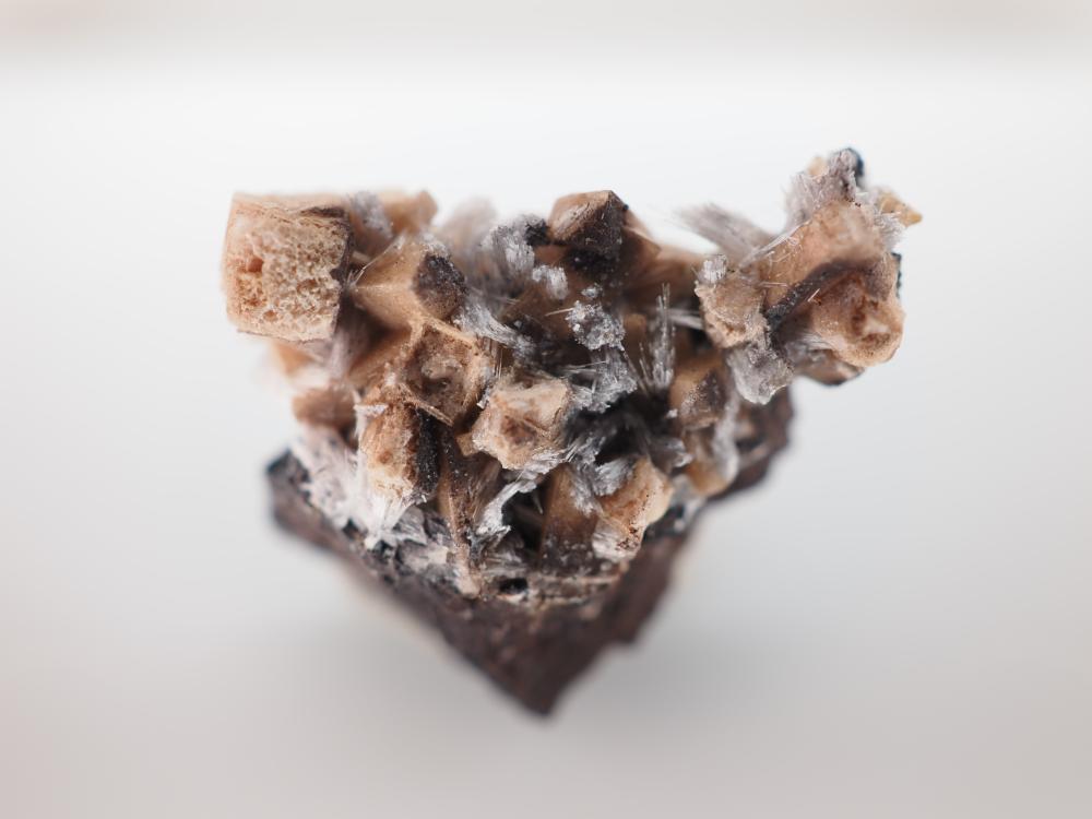 Jennite with Bultfonteinite & Poldervaartite